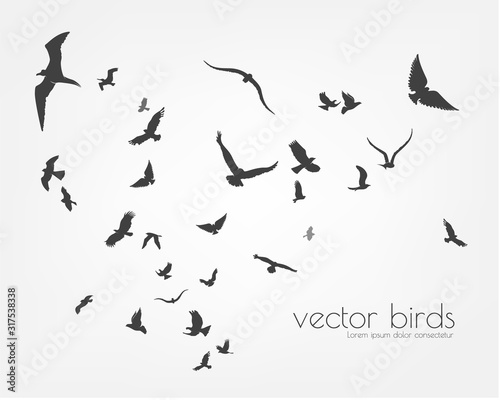 figure set flock of flying birds on tree branch © Andrei Kukla