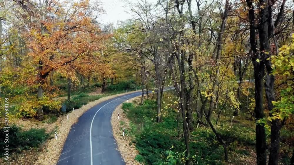 Aerial view of road passing through forest. Autumn in mountains Aerial view of road passing through forest. Autumn in mountains