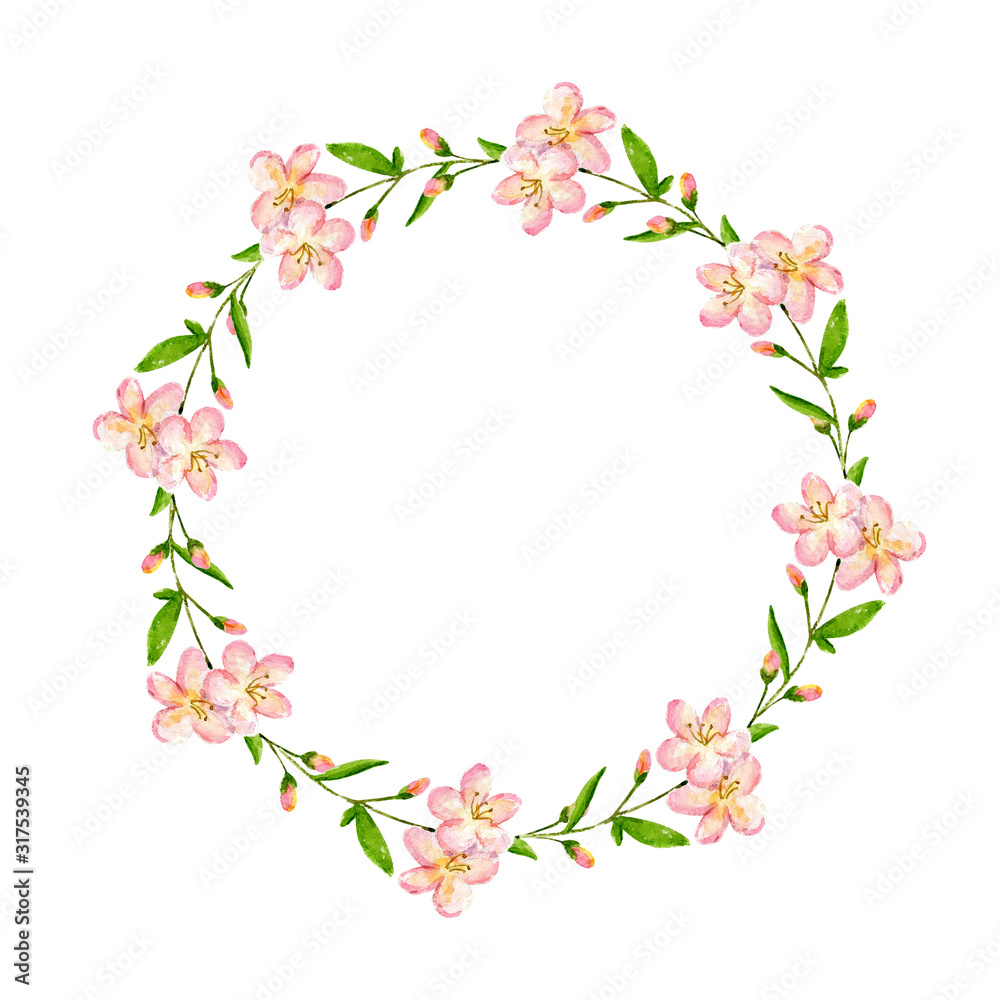 Cherry blossom wreath.  Watercolor flowers background. Delicate spring illustration isolated on the white background with copyspace. Perfect for the wedding invitation, valentines cad, Easter card. 