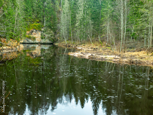 landscape with small river and green trees ashore