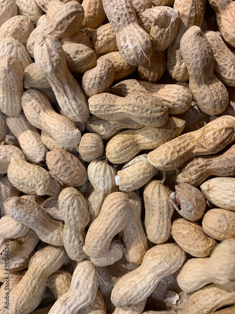 Fototapeta premium Raw peanuts in shell