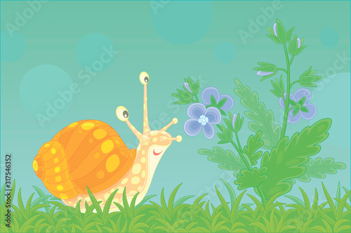 Funny garden snail friendly...