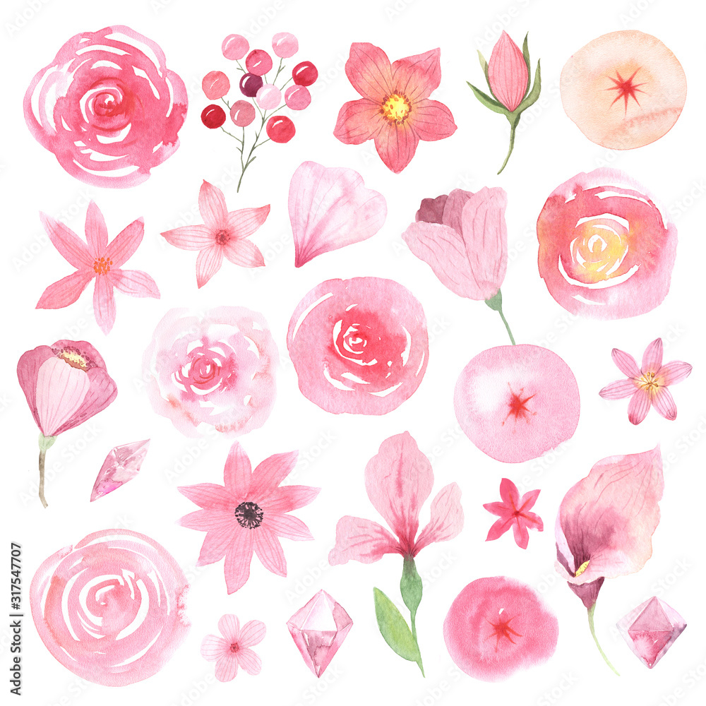Watercolor delicate pink flowers and blooms