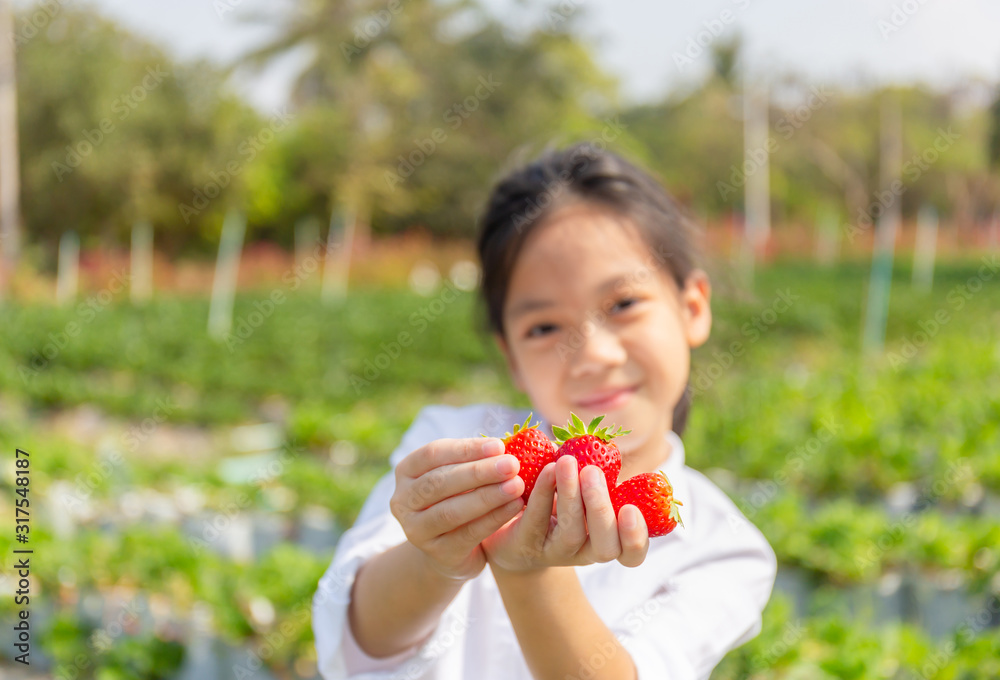 Selective focus of Happy girl child holding fresh red organic strawberries in the garden Selective focus of Happy girl child holding fresh red organic strawberries in the garden