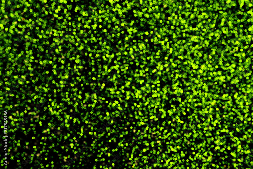 Abstract background with blurred bokeh in green. Abstract background with blurred bokeh in green.