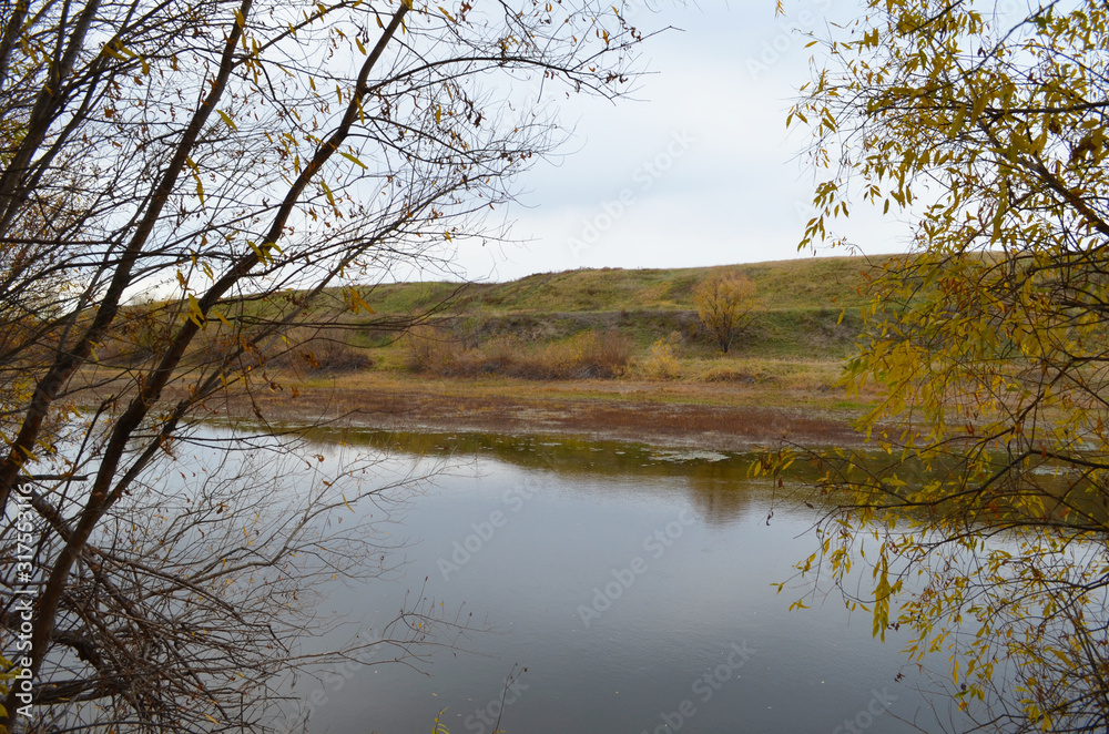 River and trees. Hilly terrain. Autumn nature, fallen leaves and rainy sky. River and trees. Hilly terrain. Autumn nature, fallen leaves and rainy sky.