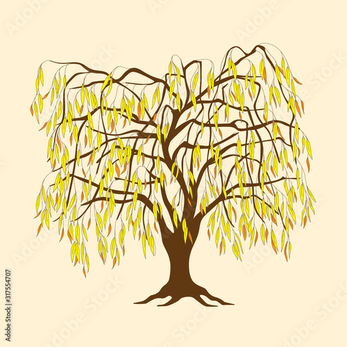 Willow tree with yellow and orange leaves