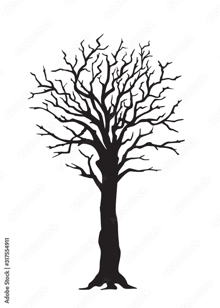 Obraz premium Black silhouette tree with large trunk