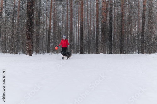 woman playing with a dog in a winter forest during a snowfall