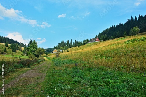Czech Republic-view on the way at the Pomezní boudy in Giant Mountains photo