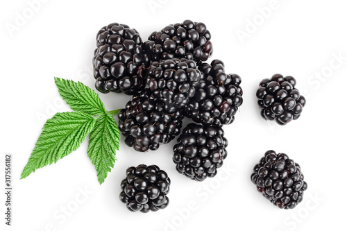 Fresh blackberry with leaves isolated on white background. Top view. Flat lay pattern