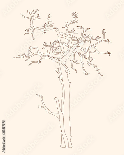 Old crooked tree without leaves black outline © sliplee