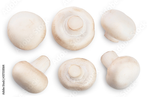 Fresh mushroom champignon isolated on white background with clipping path. Top view. Flat lay.