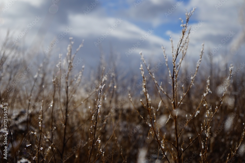 Obraz premium Winter fields on a snowy day