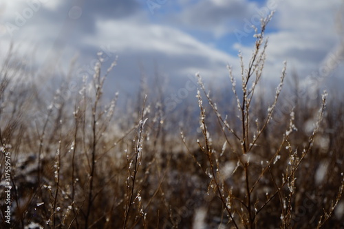 Winter fields on a snowy day