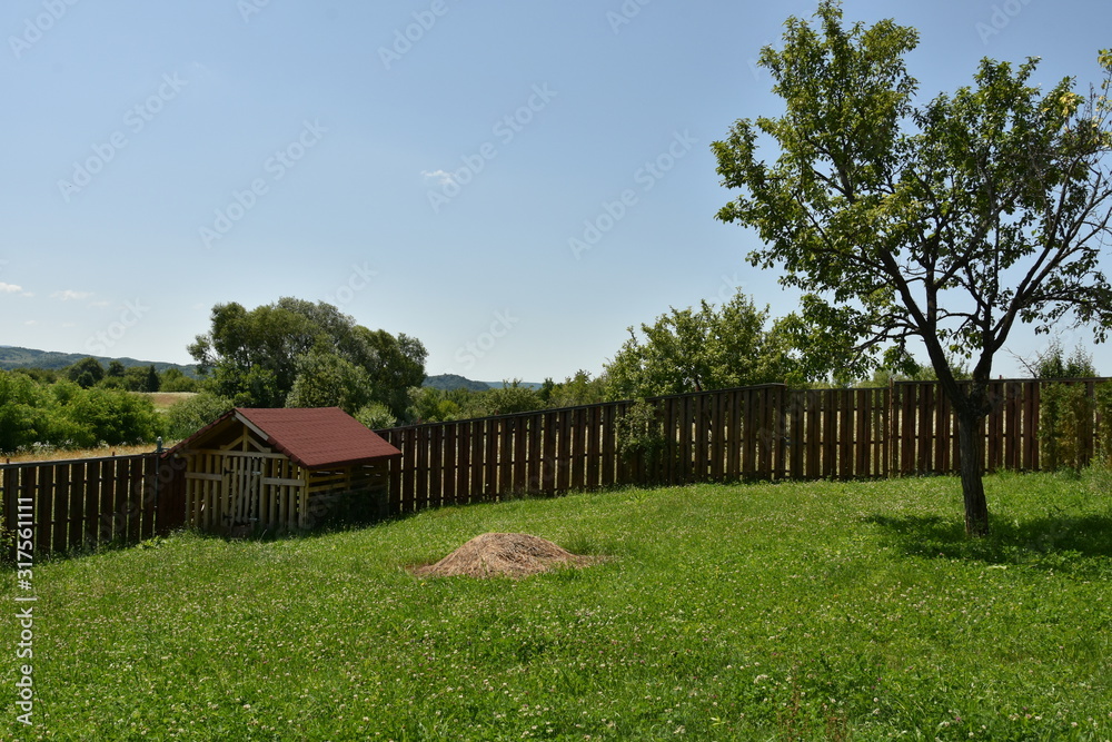 Bistrita, summer landscape in Stramba 2019,ROMANIA