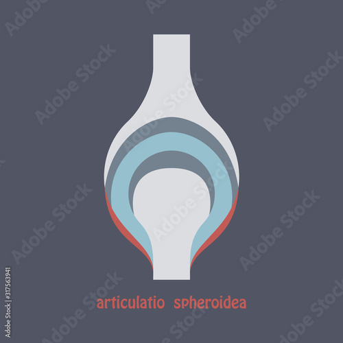 Knee joint health care icon flat