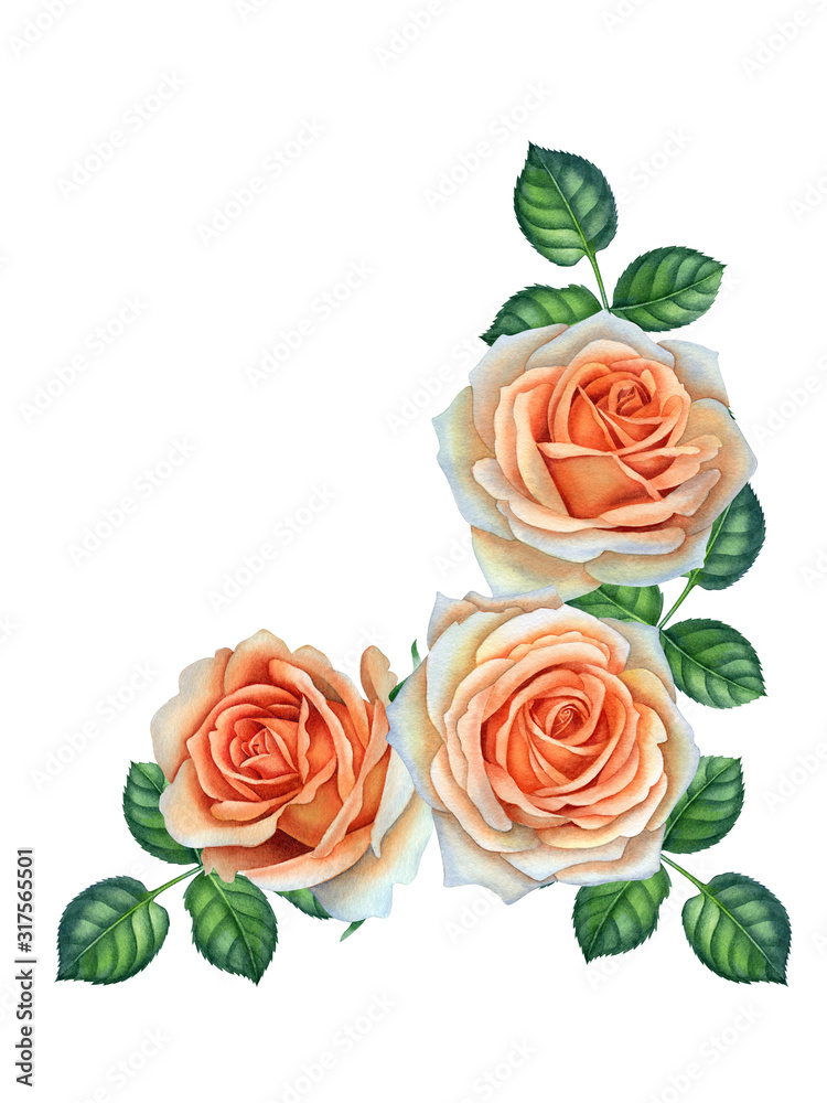 Fototapeta premium roses bright