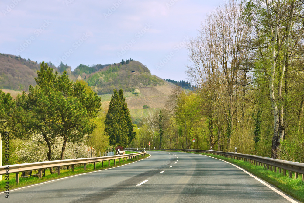 Fototapeta premium Bundesstrasse B 49 bei Alf bei der Mosel