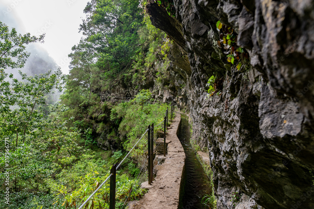 Fototapeta premium Foggy hiking path in the forest in Levada do Caldeirao Verde Trail, Madeira island, Portugal.