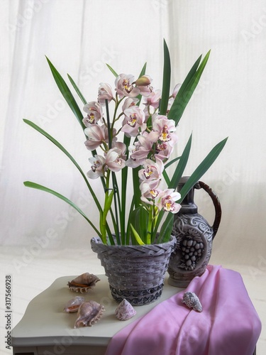 Still life with cymbidium orchid in a basket on a white background