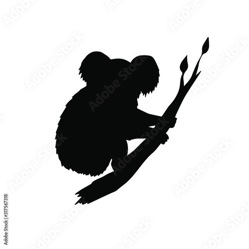 Vector hand drawn doodle sketch koala silhouette sitting on tree branch isolated on white background