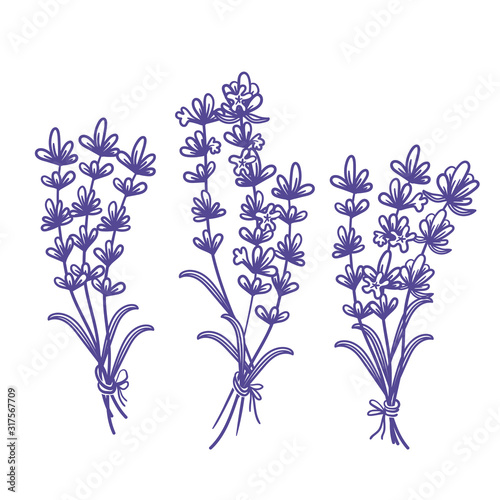 Set of template design of beautiful abstract lavender flowers bouquet. Vector illustration