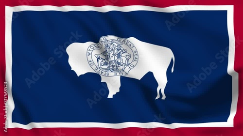 flag of the state of usa