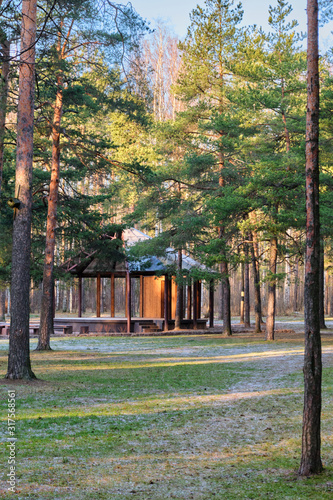 Wooden house stage for free musicians open air performances in pine forest in sunlight, in front of stage many benches covered with snow. Raising  culture of people, music for all, art theater in park