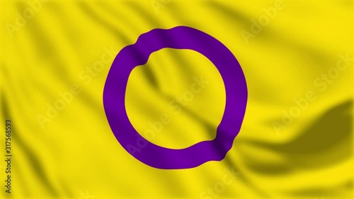 Rainbow Intersex Pride Flag Video Waving in wind. Intersex Flag Background Intersex Openness, Honesty Partner. Rainbow Pride Polygender Flag. Rainbow Colors LGBT Intersex Rights Pride Flags 4K.