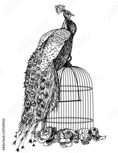 Peacock seating on a bird cage with flowers