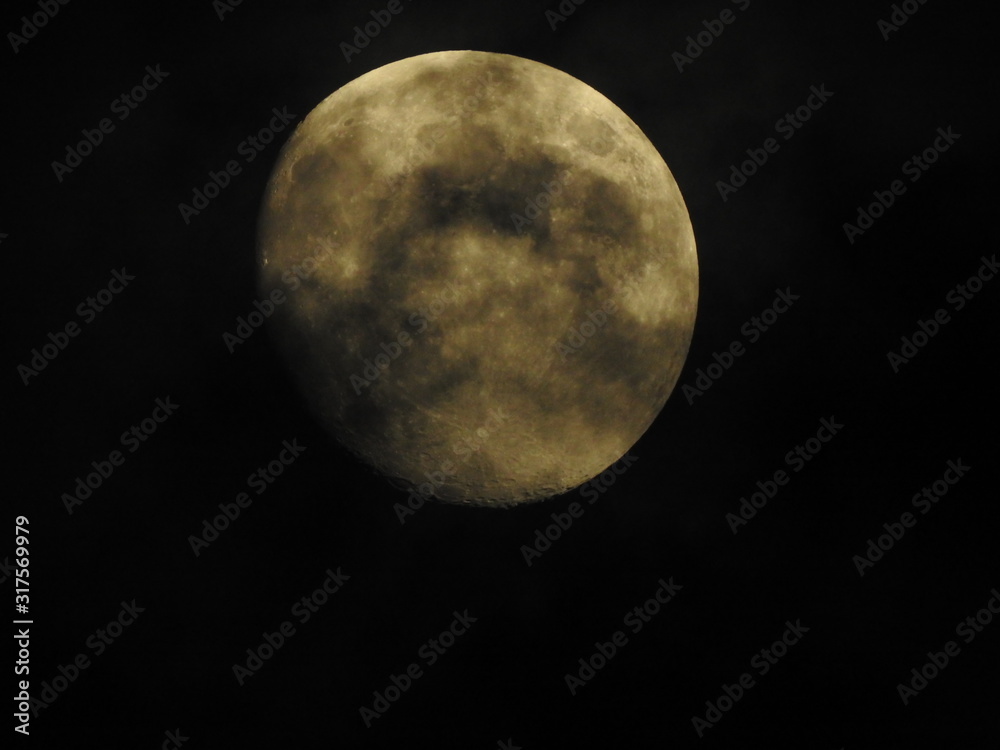 Naklejka premium Moon