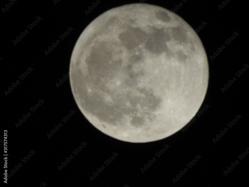 Moon Moon