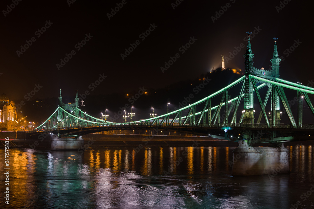 Fototapeta premium Beautiful image of Freedom Bridge in Budapest, Hungary. Night hotography.