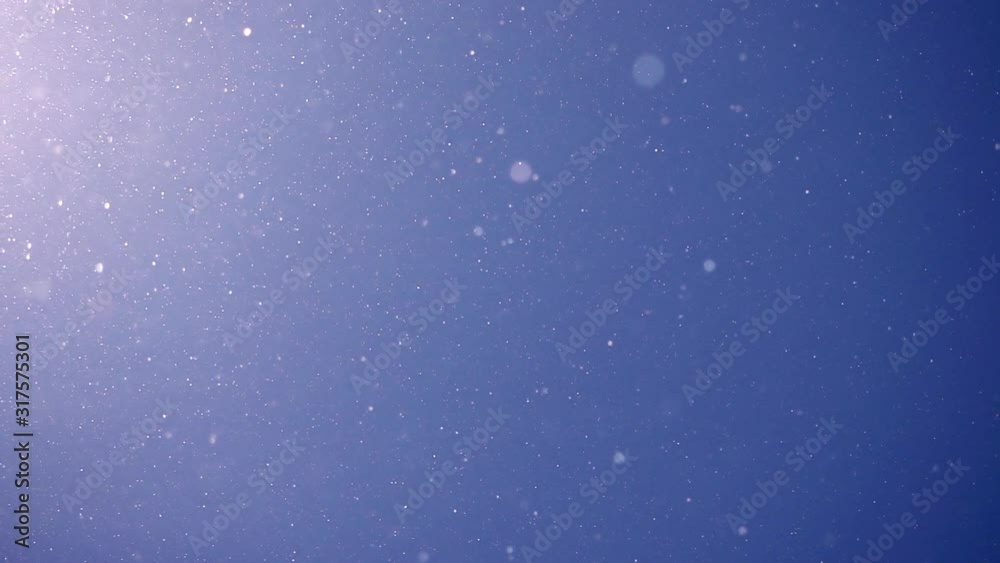 Pollen and dust flying in the air like snowflakes against blue sky background. Super slow motion shot. Natural light and texture.