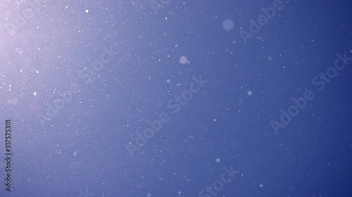 Pollen and dust flying in the air like snowflakes against blue sky background. Super slow motion shot. Natural light and texture.