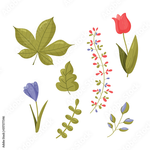 Spring set. Collection floristic flowers and plants isolated on white background. Botanical vector illustration.