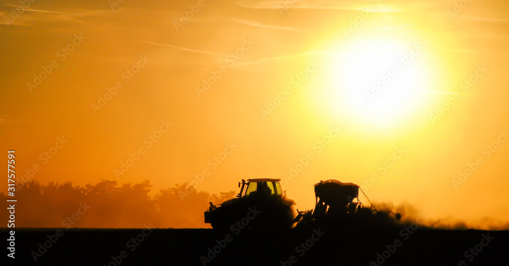Fototapeta premium Silhouette of a tractor sowing seeds in a field in a cloud of dust against the background of the setting sun.