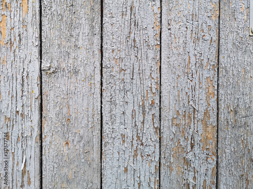 texture of an old fence from boards with peeling gray paint. background old painted board