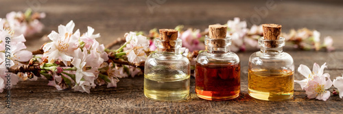 Panoramic header of essential oil bottles with blooming tree branches photo