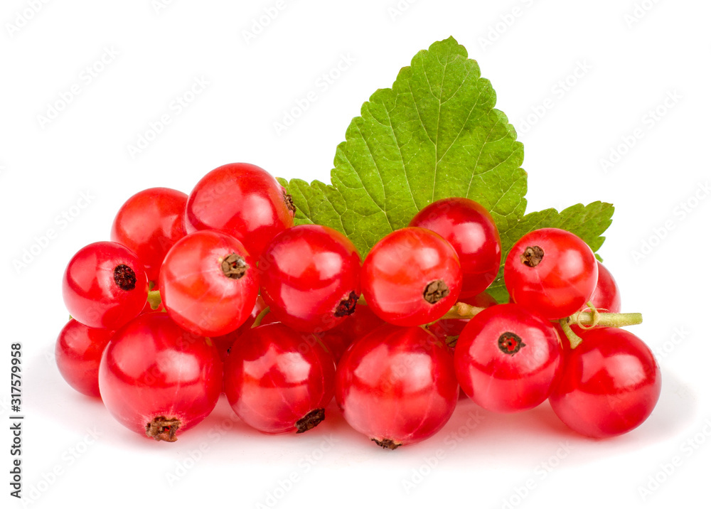 Currant berries isolated on white background