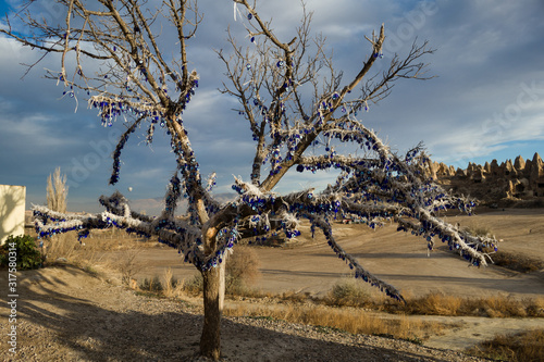 Protect to Evil Eye Nazar Glass. Cappadocia Tree.