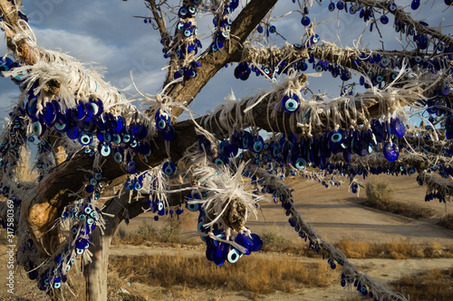 Protect to Evil Eye Nazar Glass. Cappadocia Tree.