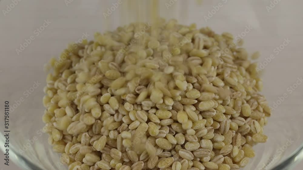 Grains of pearl barley fall in a transparent glass bowl, close-up Grains of pearl barley fall in a transparent glass bowl, close-up