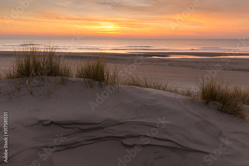 Fototapeta Naklejka Na Ścianę i Meble -  Crépuscule dans les dunes du Marquenterre à Fort-Mahon
