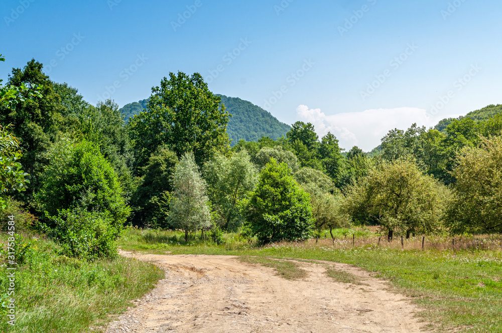 Obraz premium Beautiful summer countryside landscape in mountains. Wonderful sunny day scenery with trees, wild herbs and country road. Hills, mountains, gardens, blue sky with clouds
