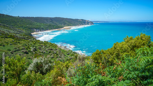 Fototapeta Naklejka Na Ścianę i Meble -  hiking the great ocean walk to milanesia beach, coast of victoria, australia