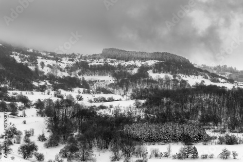 Misty, moody, contrasty, black and white view of a mountain forest during winter season
