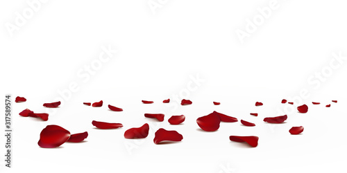 Falling red rose petals seasonal confetti, blossom elements flying isolated. Abstract floral background with beauty roses petal. design for greeting cards. Rose petals fall to the floor photo