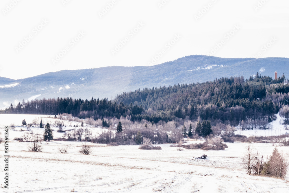 Cold, winter countryside in Czechia.